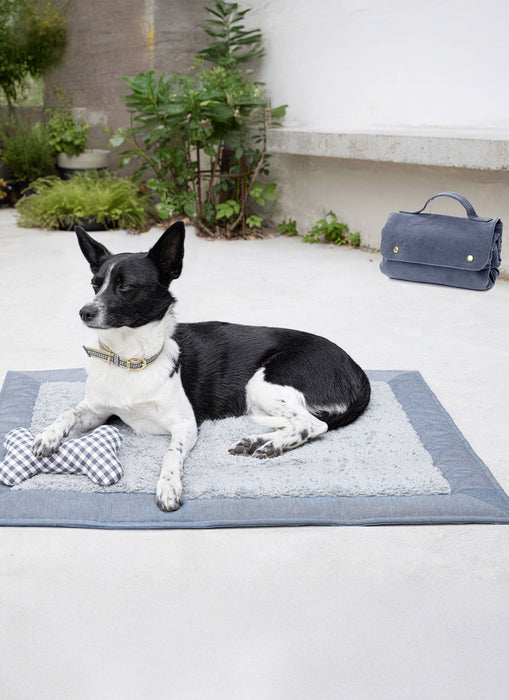 Burda style sewing pattern 5702 Pet Accessories from Jaycotts Sewing Supplies