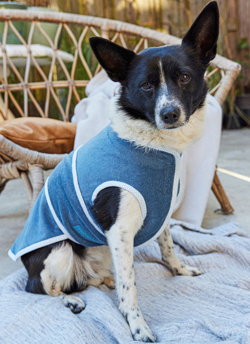 Burda style sewing pattern 5702 Pet Accessories from Jaycotts Sewing Supplies