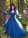 Simplicity Sewing Pattern 3029 Ball Gown Costume by Raine Emery from Jaycotts Sewing Supplies