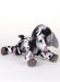 Simplicity sewing pattern 3121 Baby Goat Plushy and Accessories by Carla Reiss from Jaycotts Sewing Supplies