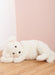 Simplicity sewing pattern 9807 Poseable Plush Animals by Elaine Heigl Designs from Jaycotts Sewing Supplies