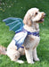 Simplicity Sewing Pattern 9875 Dog Harness with Wings by Carla Reiss Design from Jaycotts Sewing Supplies