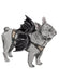 Simplicity Sewing Pattern 9875 Dog Harness with Wings by Carla Reiss Design from Jaycotts Sewing Supplies