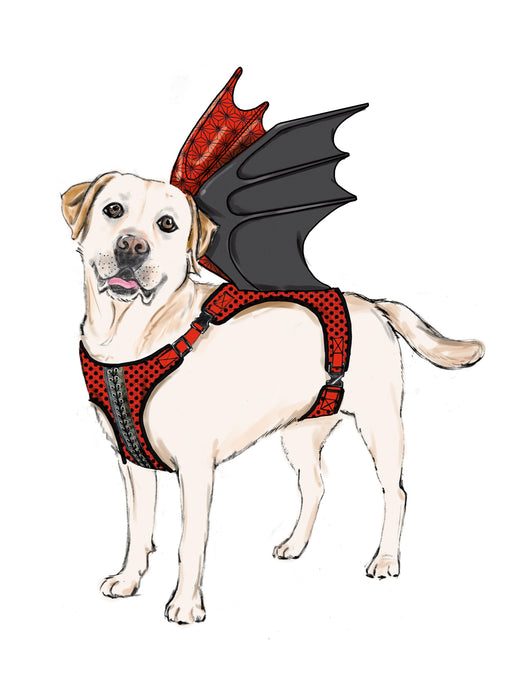 Simplicity Sewing Pattern 9875 Dog Harness with Wings by Carla Reiss Design from Jaycotts Sewing Supplies