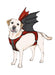 Simplicity Sewing Pattern 9875 Dog Harness with Wings by Carla Reiss Design from Jaycotts Sewing Supplies
