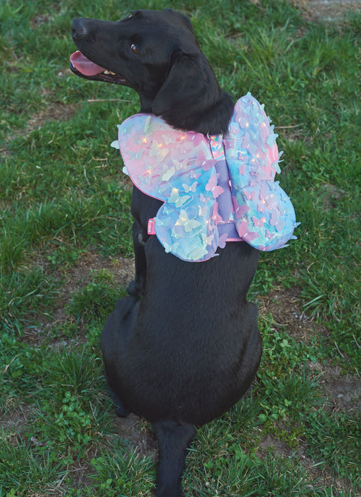 Simplicity Sewing Pattern 9875 Dog Harness with Wings by Carla Reiss Design from Jaycotts Sewing Supplies