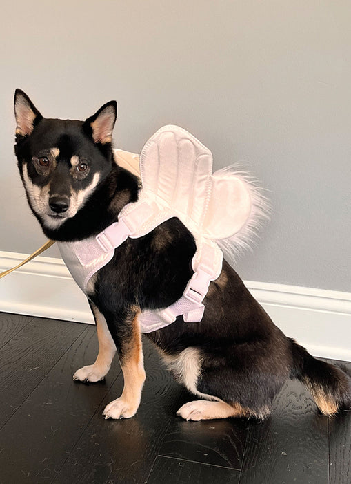 Simplicity Sewing Pattern 9875 Dog Harness with Wings by Carla Reiss Design from Jaycotts Sewing Supplies