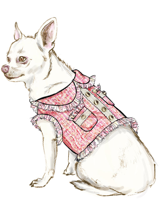 Simplicity Sewing Pattern 9970 Dog Coats from Jaycotts Sewing Supplies