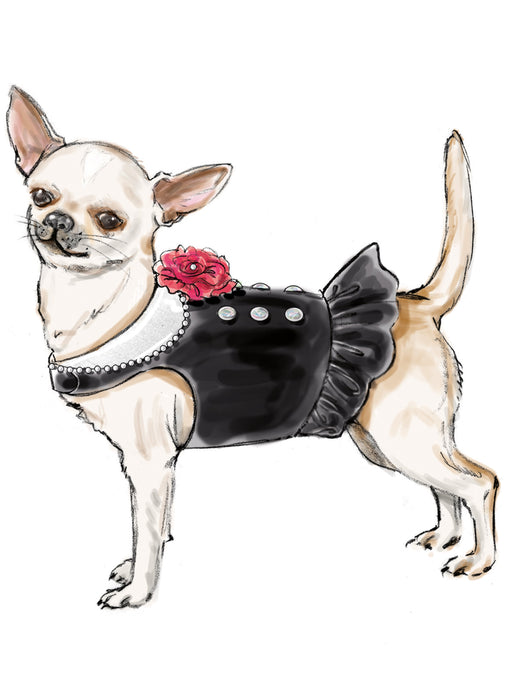 Simplicity Sewing Pattern 9970 Dog Coats from Jaycotts Sewing Supplies