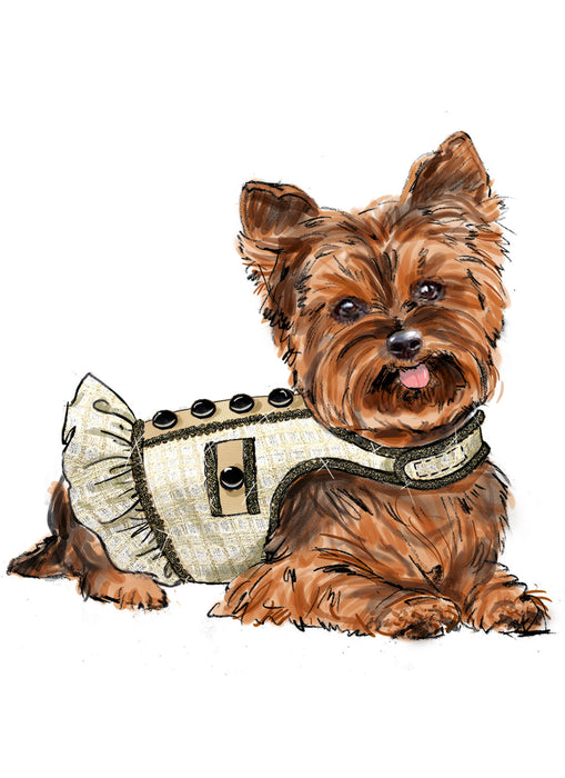 Simplicity Sewing Pattern 9970 Dog Coats from Jaycotts Sewing Supplies