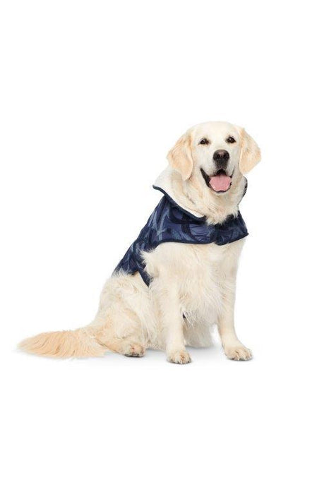 Burda Sewing Pattern 6049 Dog Coat from Jaycotts Sewing Supplies