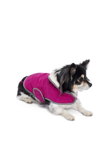 Burda Sewing Pattern 6049 Dog Coat from Jaycotts Sewing Supplies