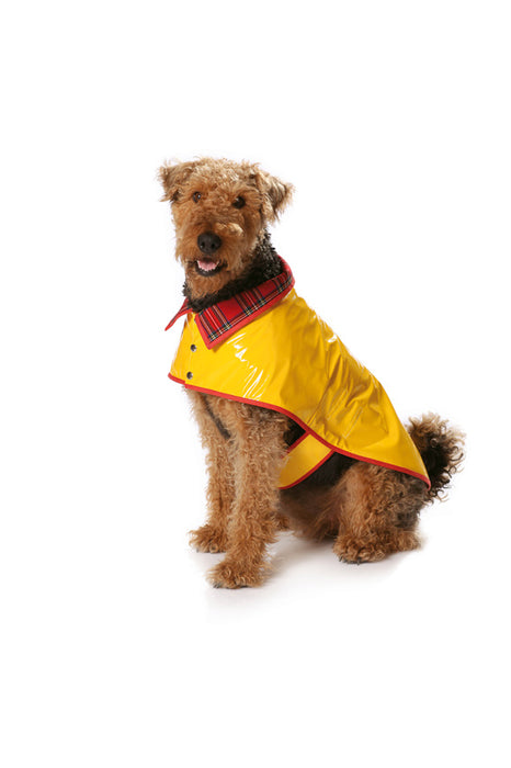BD7752 Dogs Coat Pattern from Jaycotts Sewing Supplies