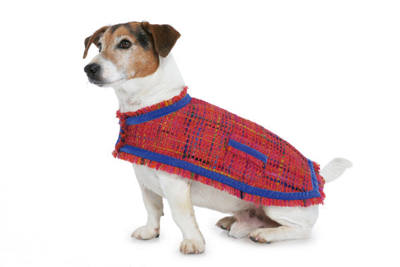 BD7752 Dogs Coat Pattern from Jaycotts Sewing Supplies