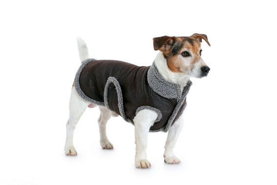 BD7752 Dogs Coat Pattern from Jaycotts Sewing Supplies