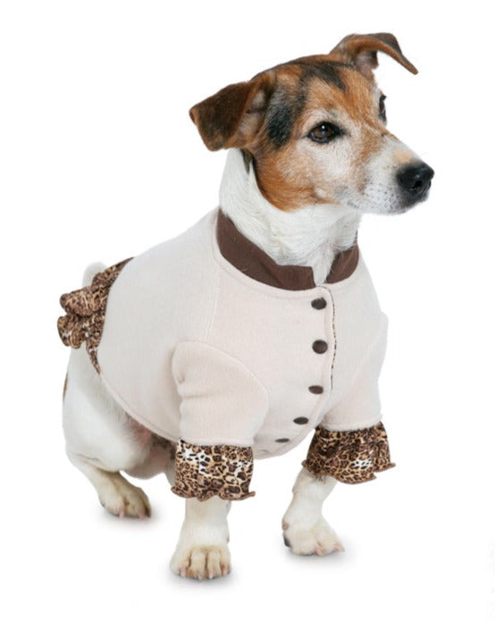 BD7752 Dogs Coat Pattern from Jaycotts Sewing Supplies