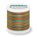 Madeira Rayon 40 Embroidery Thread 200m Multi #2147 Red/Yellow/Blue/Green from Jaycotts Sewing Supplies