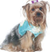 M6218 Pet Clothes from Jaycotts Sewing Supplies