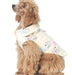 M6218 Pet Clothes from Jaycotts Sewing Supplies