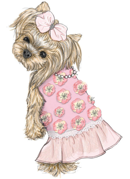 M7850 Pet Clothes Pattern from Jaycotts Sewing Supplies