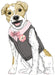 M7850 Pet Clothes Pattern from Jaycotts Sewing Supplies