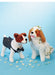 M7850 Pet Clothes Pattern from Jaycotts Sewing Supplies