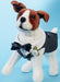 M7850 Pet Clothes Pattern from Jaycotts Sewing Supplies