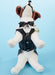 M7850 Pet Clothes Pattern from Jaycotts Sewing Supplies