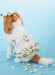 M7850 Pet Clothes Pattern from Jaycotts Sewing Supplies