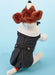M7850 Pet Clothes Pattern from Jaycotts Sewing Supplies