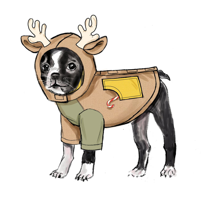 Simplicity pattern 9663 Pet Coats with Optional Hoods and Cowls from Jaycotts Sewing Supplies