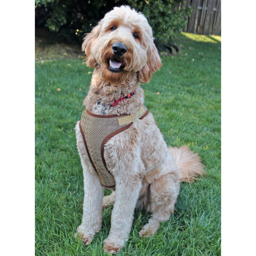 Simplicity pattern 9664 Dog Harness in Sizes S-M-L and Lead from Jaycotts Sewing Supplies